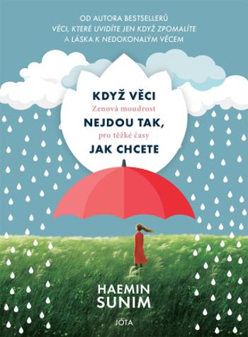 Když věci nejdou tak, jak chcete - Haemin Sunim - e-kniha