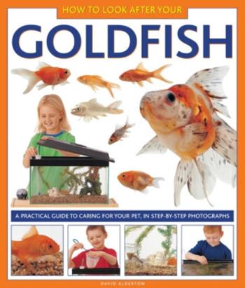 How to Look After Your Goldfish - David Alderton