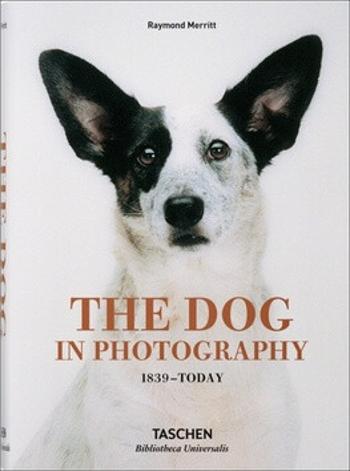 The Dog in Photography - Raymond Merritt