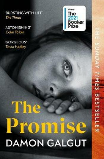 The Promise - Damon Galgut