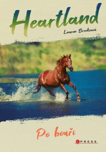 Heartland Po bouři - Lauren Brooke