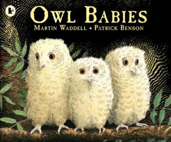 Owl Babies - Martin Waddell