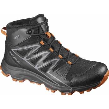 Salomon CRUZANO 3 MID GTX Pánská zimní obuv, černá, velikost 42 2/3