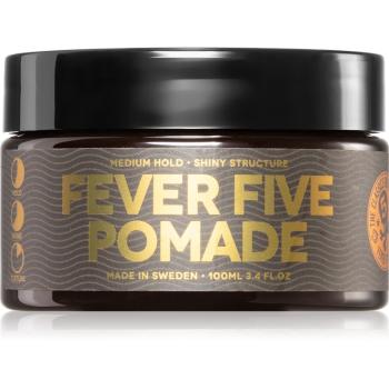 Waterclouds Fever Five Pomade vlasová pomáda na vodní bázi 100 ml