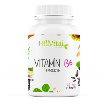 HillVital Vitamín B6 100 kapslí