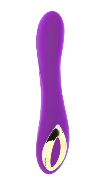 Healthy life Vibrator Rechargeable purple 0601570305