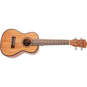 CASCHA HH 2036 CZ Concert Mahogany Ukulele Bundle (HN239075)