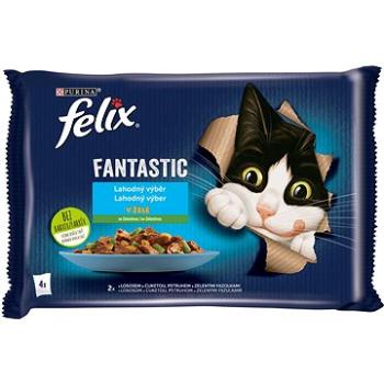 Felix Fantastic s lososem a cuketou, s pstruhem a zel.fazolemi 4 x 85 g (7613039756973)