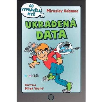 Ukradená data (978-80-247-5576-2)