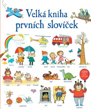 Velká kniha prvních slovíček - Mairi Mackinnon, Kate Hindley