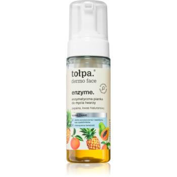 Tołpa Dermo Face Enzyme hydratační čisticí pěna na obličej 150 ml