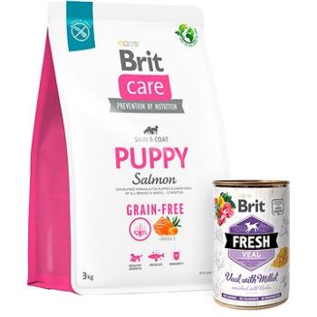 Brit Care Dog Grain-free s lososom Puppy 3 kg + Brit Fresh Veal with millet 400 g (KRMP1257bun)