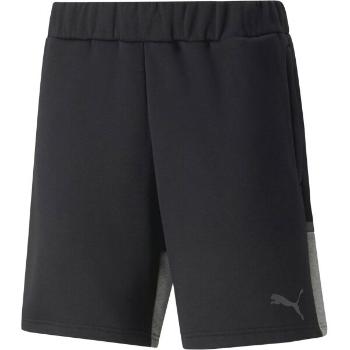 Puma TEAMCUP CASUALS SHORTS Pánské sportovní šortky, černá, velikost