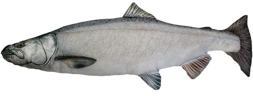 Gaby Polštář Losos stříbrný 90 cm,Gaby Polštář Losos stříbrný 90 cm