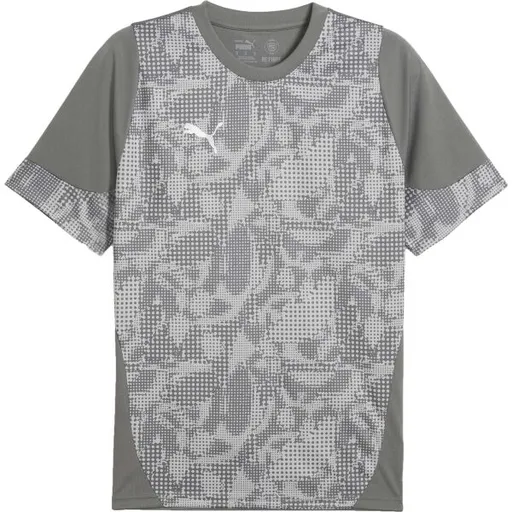 Puma TEAMCUP TRAINING JERSEY TEE Pánský dres, šedá, velikost