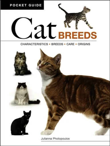 Cat Breeds - Julianna Photopoulos