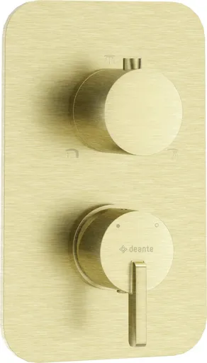 DEANTE Silia kartáčovaná zlatá Vnější prvek, pro směšovač BOX BXY_RQSM