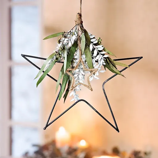 Weltbild Kovová hvězda se sušenými květinami