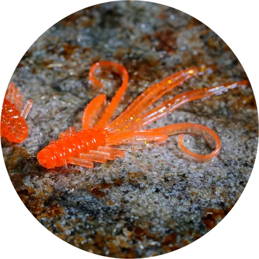 Redbass gumová nástraha nymfa orange g - x 100 mm uv