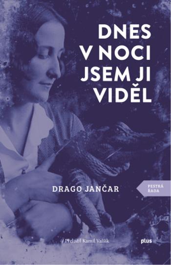 Dnes v noci jsem ji viděl - Drago Jančar - e-kniha