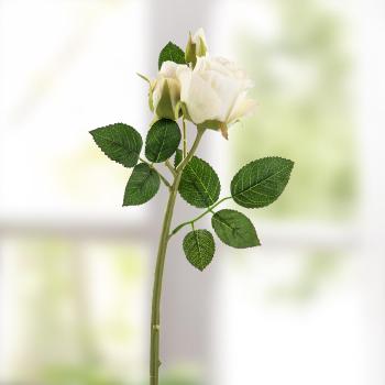 Gilde Umělá růže, bílá