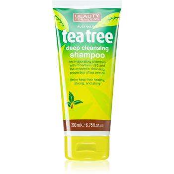 Beauty Formulas Tea Tree hloubkově čisticí šampon 200 ml