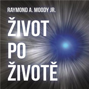 Život po životě ()