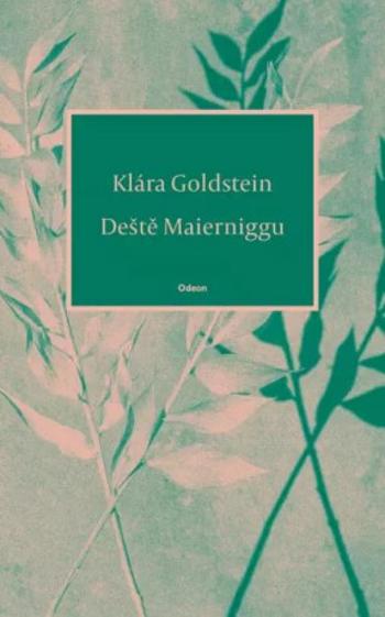 Deště z Maierniggu - Klára Goldstein