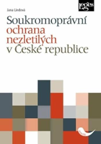 Soukromoprávní ochrana nezletilých v České republice - Jana Lindová