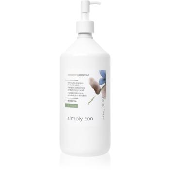 Simply Zen Detoxifying čisticí detoxikační šampon pro všechny typy vlasů 1000 ml