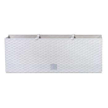 Ghiveci Rato Case, alb, alb