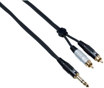 Bespeco EAYSRM500 5 m Audio kabel