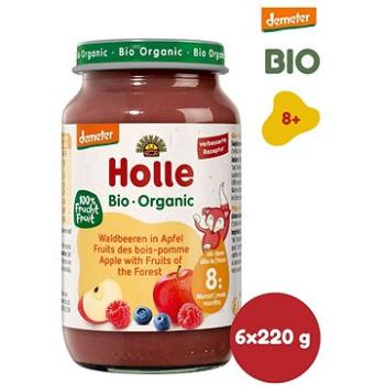 HOLLE BIO Lesní plody v jablku 6× 220 g (7640104957447)