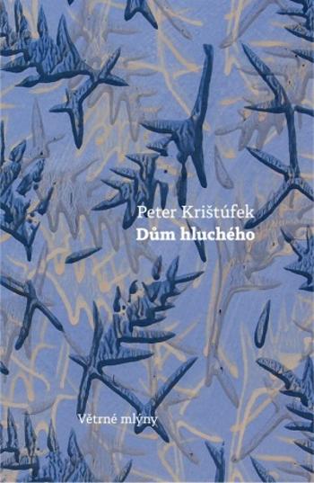 Dům hluchého - Peter Krištúfek - e-kniha