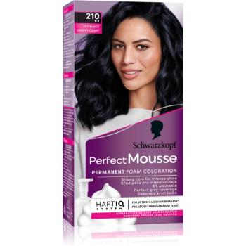 Schwarzkopf Perfect Mousse permanentní barva na vlasy odstín 210 Ledový černý 2x35 ml