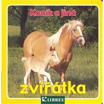 Koník a jiná zvířátka (978-80-7228-569-3)