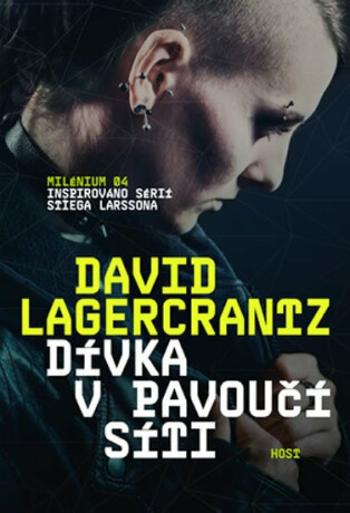 Dívka v pavoučí síti - David Lagercrantz