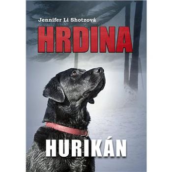 Hrdina: Hurikán (978-80-264-2310-2)