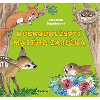 Dobrodružství malého zajíčka (978-80-7497-170-9)