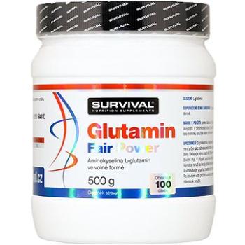 Survival Glutamin Fair Power 500 g  (8594056371198)