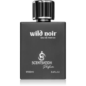 Scentsations Wild Noir parfémovaná voda pro muže 100 ml