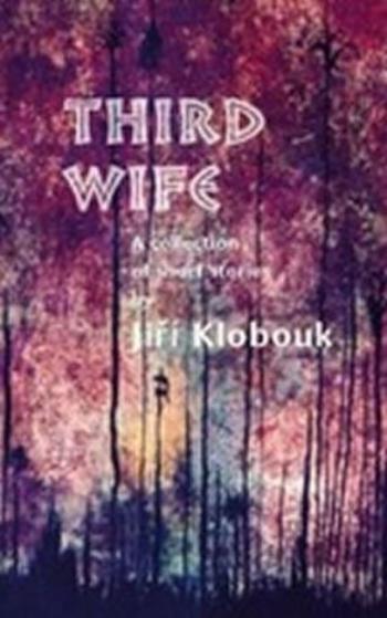 Third Wife (Defekt) - Jiří Klobouk