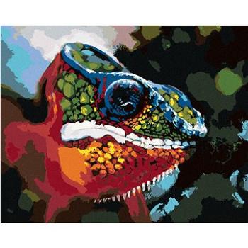 Diamondi - Diamantové malování - ABSTRAKTNÍ BAREVNÝ CHAMELEÓN, 40x50 cm, bez rámu a bez vypnutí plát (604924A)