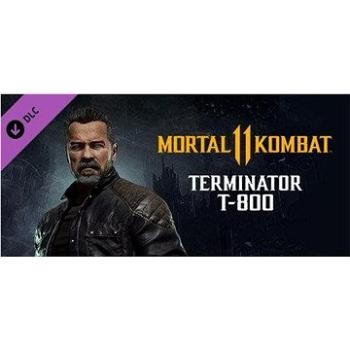 Mortal Kombat 11 Terminator T-800 - PC DIGITAL (855256)