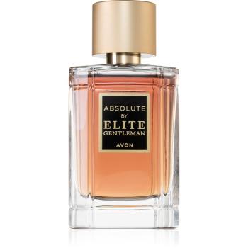 Avon Elite Gentleman Absolute toaletní voda pro muže 50 ml