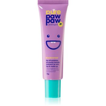 Pure Paw Paw Blackcurrant balzám na rty a suchá místa 15 g