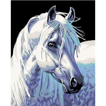 Diamondi - Diamantové malování - BÍLÝ KŮŇ II, 40x50 cm, bez rámu a bez vypnutí plátna (603480A)