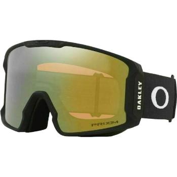 Oakley LINE MINER L Lyžařské brýle, černá, velikost