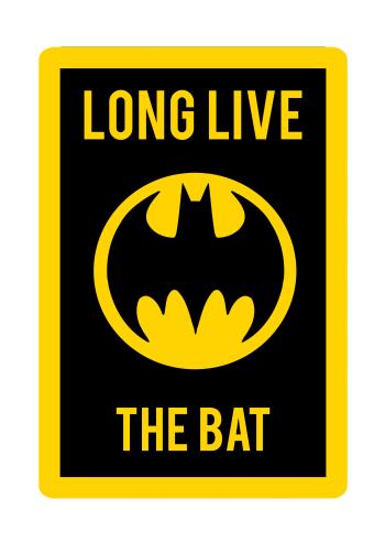 Szőnyeg DC Comics - Batman 80 x 120 cm