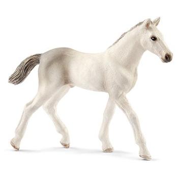 Schleich Holštýnské hříbě 13860 (4055744021350)